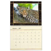 Schöner Big Cats Foto Bilderkalender Kalender (Feb 2027)