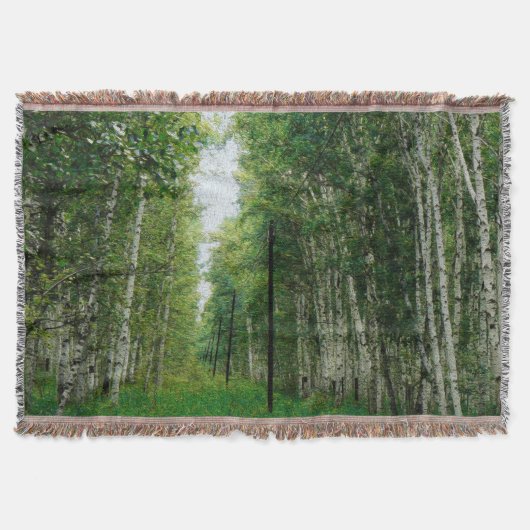 Schöner Birkenwald Decke (Vorderseite)