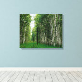 Schöner Birkenwald Leinwanddruck (Insitu (Holzboden))