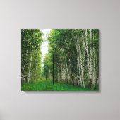 Schöner Birkenwald Leinwanddruck (Vorderseite)