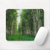 Schöner Birkenwald Mousepad (Mit Mouse)