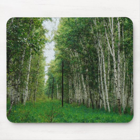 Schöner Birkenwald Mousepad (Vorne)