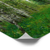 Schöner Birkenwald Poster (Ecke)