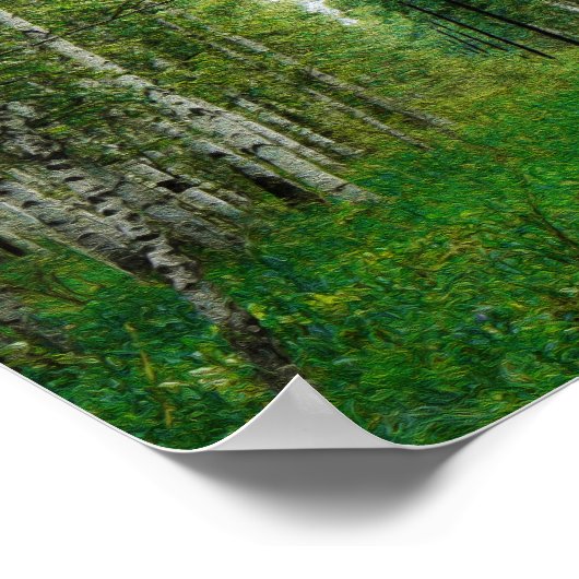 Schöner Birkenwald Poster (Ecke)