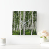 Schöner Birkenwald Quadratische Wanduhr (Zuhause)