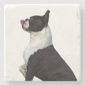 Schöner Black and White Boston Terrier Untersetzer (Vorderseite)