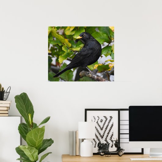 Schöner Blackbird Poster (Heimbüro)
