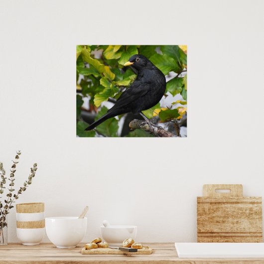 Schöner Blackbird Poster (Küche)