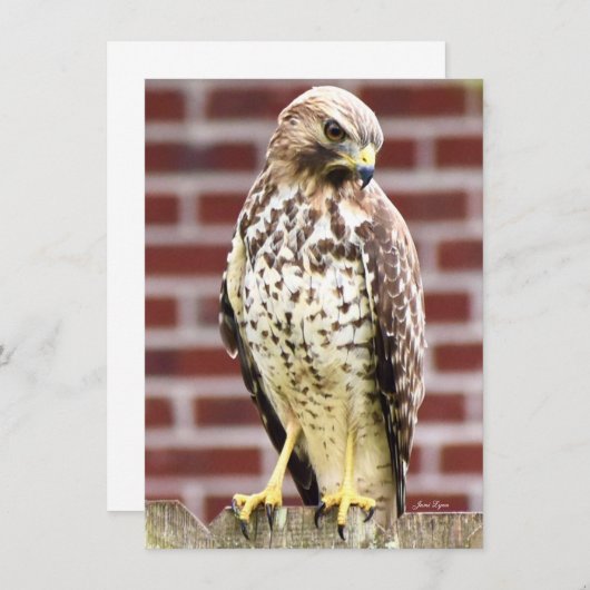 Schöner Blatt-Karte (Vorne/Hinten)