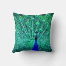 SCHÖNER BLAU GREEN YELLOCK PEACOCK