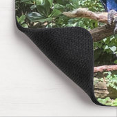 Schöner Blauer Papagei Mousepad (Ecke)