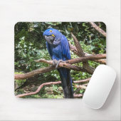 Schöner Blauer Papagei Mousepad (Mit Mouse)