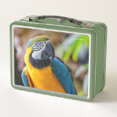 Schöner Blauer Papagei-Vogel Metall Brotdose (Rückseite)