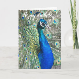 Schöner blauer Pfau Geburtstag Karte