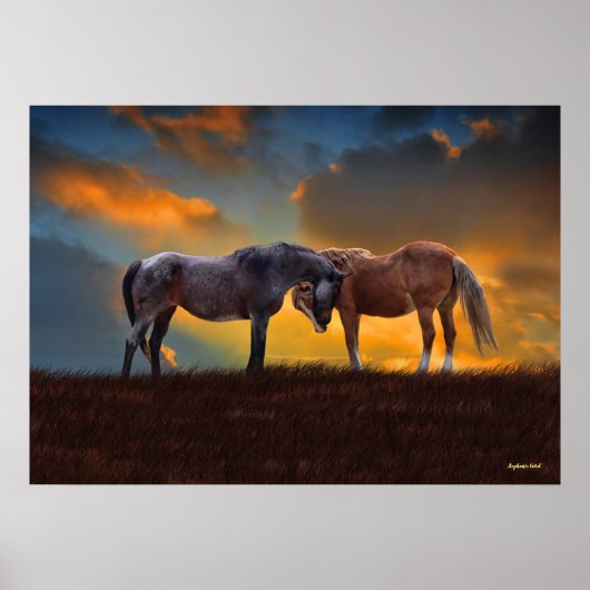 Schöner Blauer Roan und Palomino Pferde Sonnenunte Poster (Vorne)