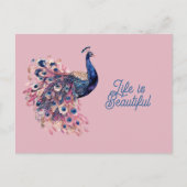 Schöner blauer rosa Marineblauer Pfau Postkarte (Vorderseite)