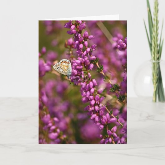 Schöner Blauer Schmetterling - Grußkarte Karte (Vorderseite)