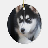 Schöner blaues Augen-sibirischer Husky 2 Keramikornament (Links)