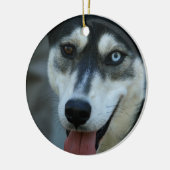 Schöner blaues Augen-sibirischer Husky Keramikornament (Links)