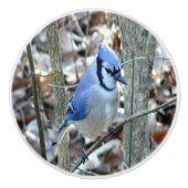 Schöner Blauhäher Keramikknauf (Vorderseite)