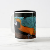 Schöner Blauund GoldMacaw Zweifarbige Tasse (Vorderseite Links)