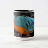 Schöner Blauund GoldMacaw Zweifarbige Tasse (Mittel)