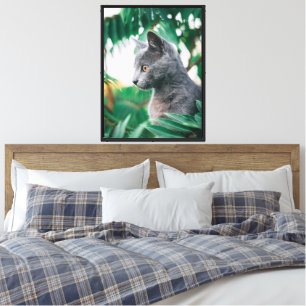 Schöner Blick auf die grüne Katze Leinwanddruck