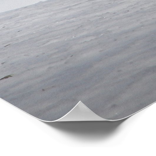 Schöner Blick Red Fox in Snow Poster (Ecke)