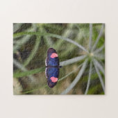 Schöner Blue Butterfly Natur Fotografy Garden Puzzle (Horizontal)