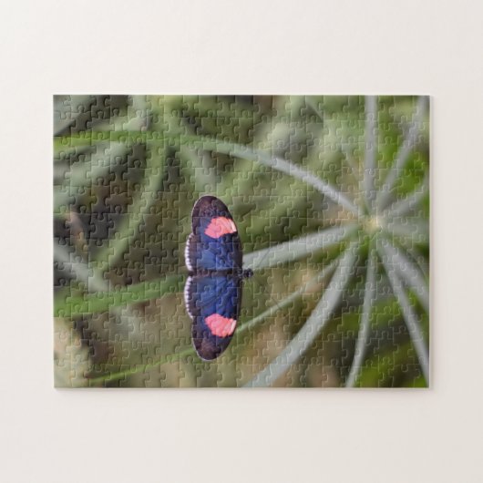Schöner Blue Butterfly Natur Fotografy Garden Puzzle (Horizontal)