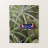 Schöner Blue Butterfly Natur Fotografy Garden Puzzle (Vertikal)