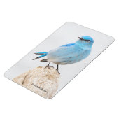 Schöner Bluebird auf einem Hügel Magnet (Linke Seite)