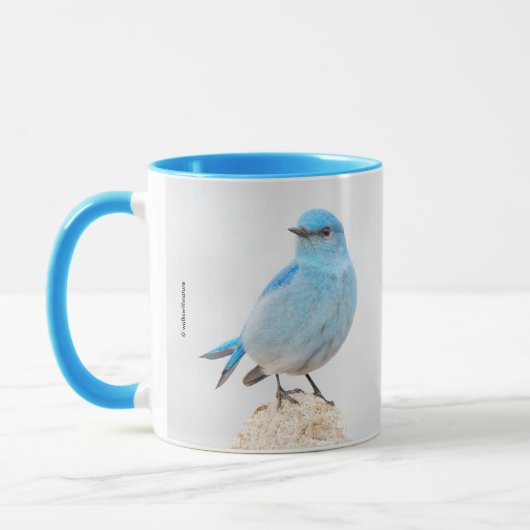 Schöner Bluebird auf einem Hügel Tasse (Links)