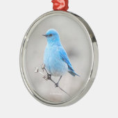 Schöner Bluebird Songbird am Strand Ornament Aus Metall (Links)