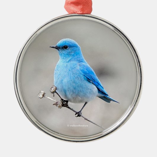 Schöner Bluebird Songbird am Strand Ornament Aus Metall (Vorne)