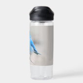 Schöner Bluebird Songbird am Strand Trinkflasche (Rückseite)