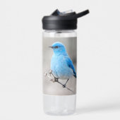 Schöner Bluebird Songbird am Strand Trinkflasche (Links)