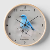 Schöner Bluebird Songbird auf Tansy Wanduhr (Vorderseite)