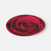 Schöner blühender Rosen-Teller Pappteller (Schrägansicht)