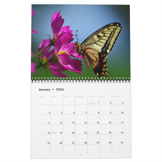 Schöner Blume Kalender (Jan 2026)