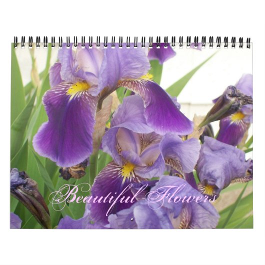 Schöner Blume Kalender (Titelbild)