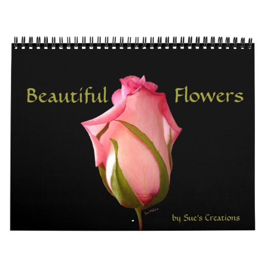 Schöner Blume Kalender (Titelbild)