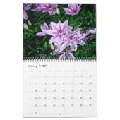 Schöner Blume-Kalender Kalender (Jan 2027)