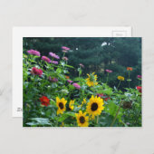 Schöner Blumengarten Postkarte (Vorne/Hinten)