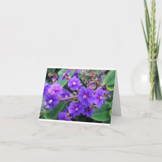 Schöner Blumennotecard Karte (Vorderseite)