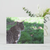 Schöner Bobcat - Flachkarte (Stehend Vorderseite)