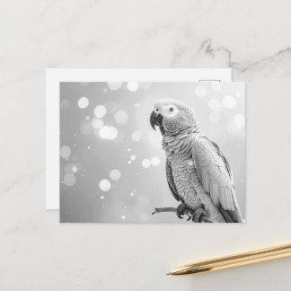 Schöner Bokeh Afrikanischer Grau Postkarte