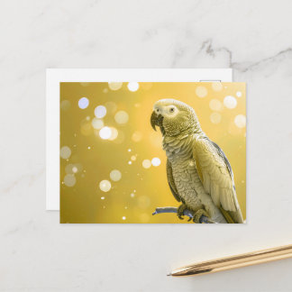 Schöner Bokeh Afrikanischer Grau Postkarte