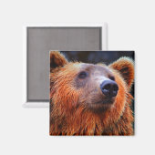 Schöner brauner Bär Portrait Wildlife Foto Magnet (Vorderseite/Rückseite)