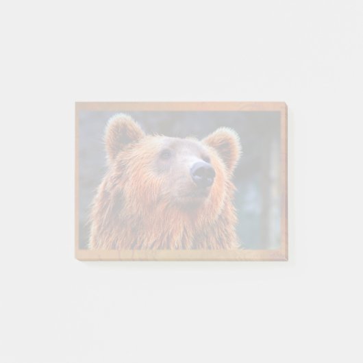 Schöner brauner Bär Portrait Wildlife Foto Post-it Klebezettel (Vorderseite)